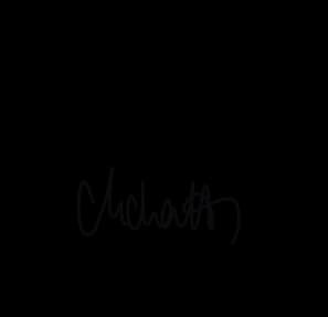 Matthieu Duchatellier signature